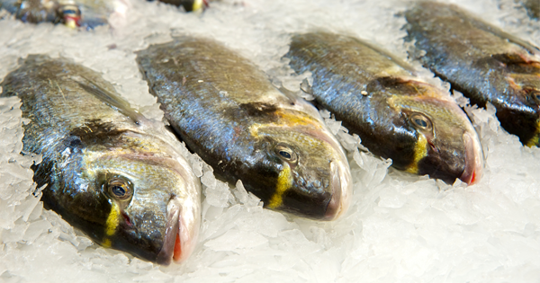 Study Finds 1 In 4 Fish Sold In Fish Markets In THIS State Are CONTAMINATED With...