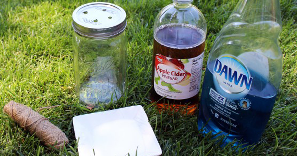How To Get Rid Of Flies Fast With These DIY Traps!