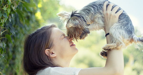 Doctors Beg Pet Owners To Stop Doing THIS.