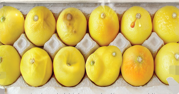 This Viral Photo Of Lemons Could Save Your Life