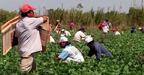 He Smuggles People From Mexico To Work For A Farm. But What He Does To Them Right After Is Horrifying.