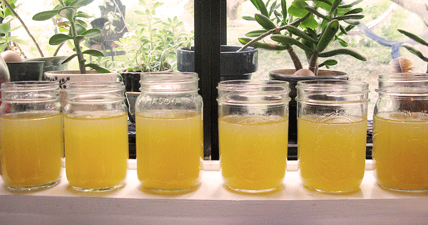 What Is Bone Broth, And Why Is Everyone Drinking It?