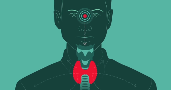 What You Need To Know About Your Thyroid And How It Manages Your Metabolism