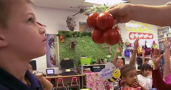 Watch A Group Of First Graders Fail To Recognize A Single Vegetable