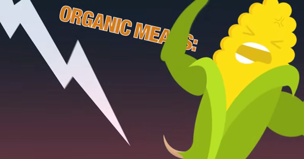 Surprise! THIS is What it Actually Means When a Food is Labeled ‘Organic’